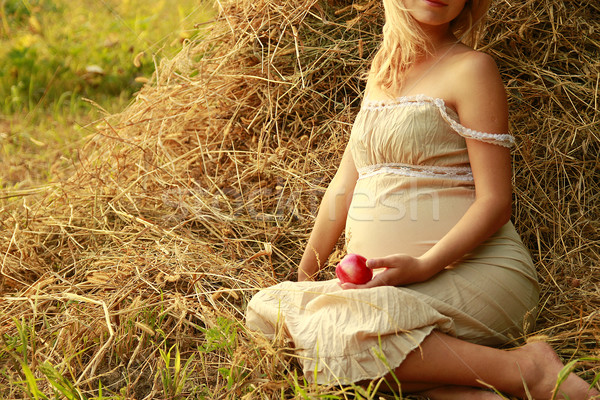 Femme enceinte nature femme herbe homme santé [[stock_photo]] © koca777