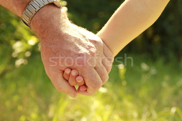 Szülő kéz kicsi gyermek család biztonság Stock fotó © koca777