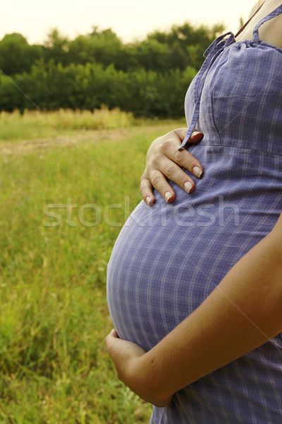 Jóvenes embarazadas nina naturaleza familia cara Foto stock © koca777