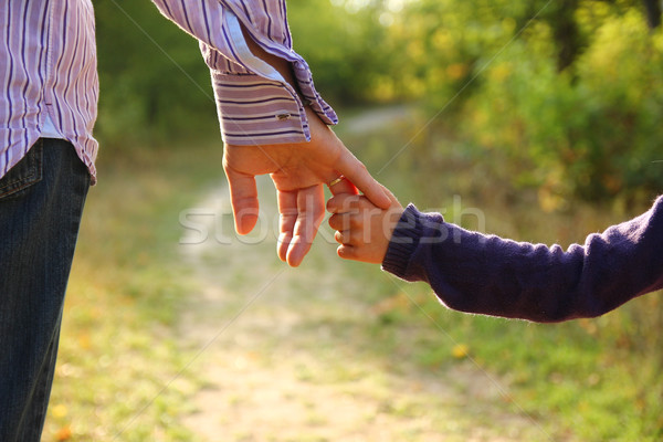 Padres mano pequeño nino familia verde Foto stock © koca777