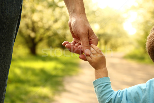  parent holds the hand of a small child Stock photo © koca777