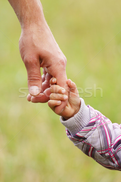parent holds the hand of a small child Stock photo © koca777