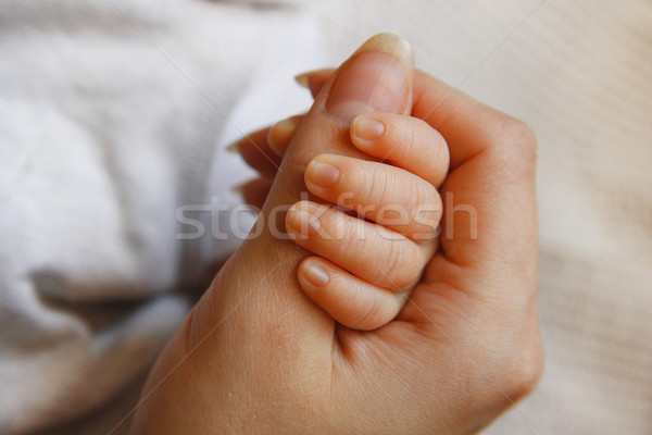 Parent main faible enfant famille sécurité [[stock_photo]] © koca777