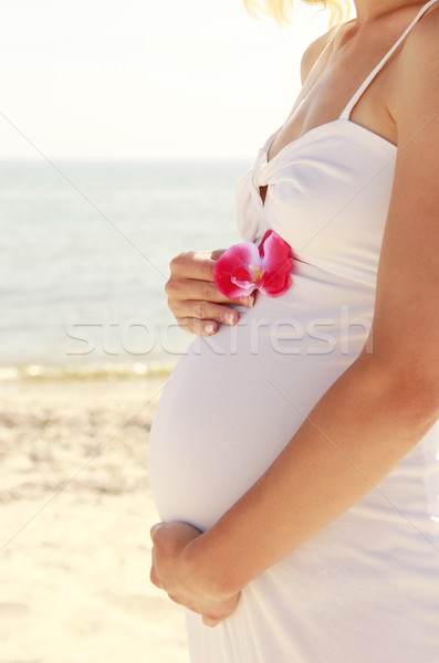 Mujer embarazada playa mujer agua manos amor Foto stock © koca777