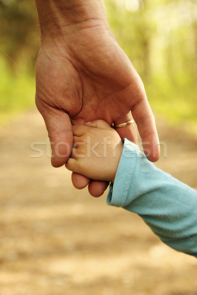 Padres mano pequeño nino familia verde Foto stock © koca777