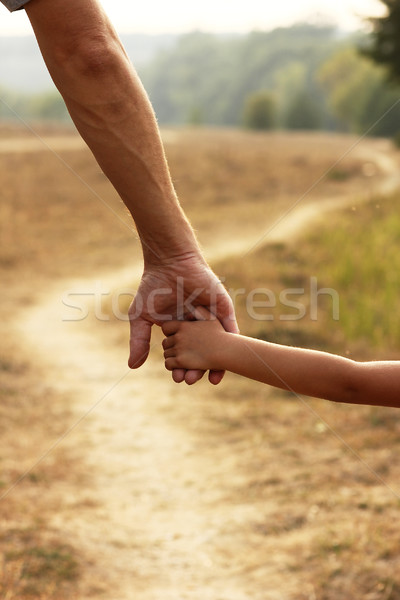 Pai ou mãe mão pequeno criança família verde Foto stock © koca777