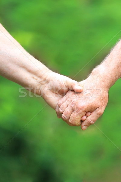 Twee handen natuur ouderen paar liefde Stockfoto © koca777