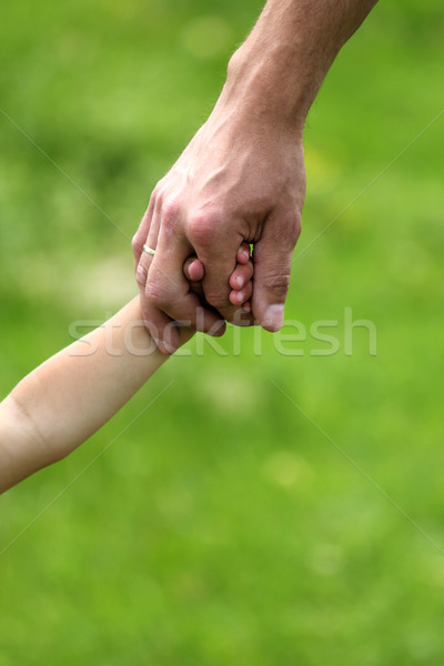 [[stock_photo]]: Main · parent · enfant · nature · mains · bébé