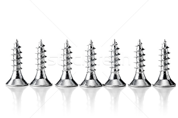 group of screws Stock photo © kokimk