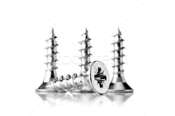 group of screws Stock photo © kokimk