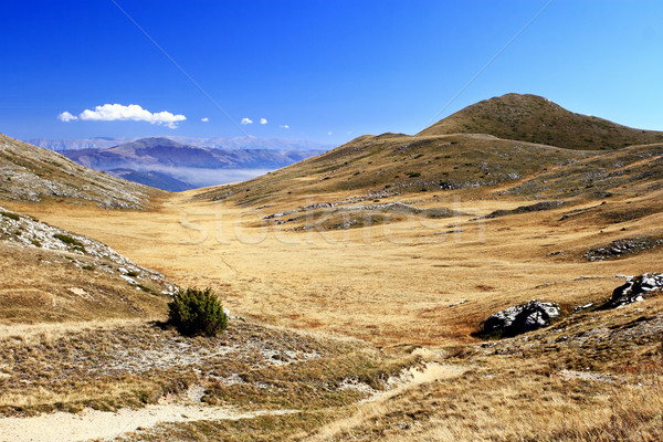Landscape of Macedonia Stock photo © kokimk