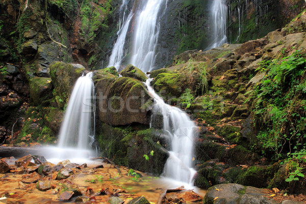 Waterfall Stock photo © kokimk