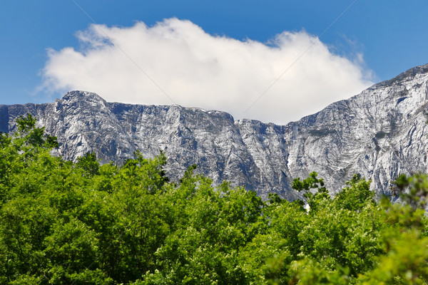 mountain range Jakupica, Macedonia Stock photo © kokimk