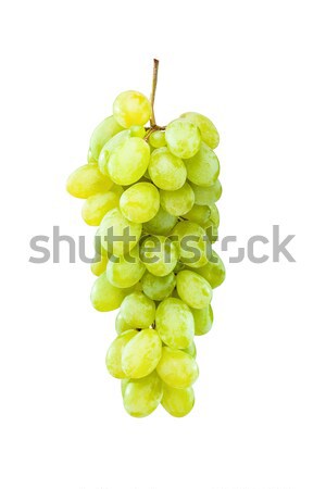 Ripe green grapes hanging against white Stock photo © kokimk