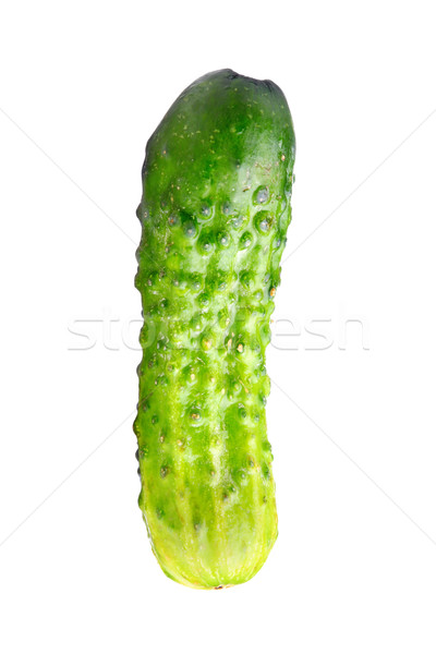 cucumber Stock photo © kokimk