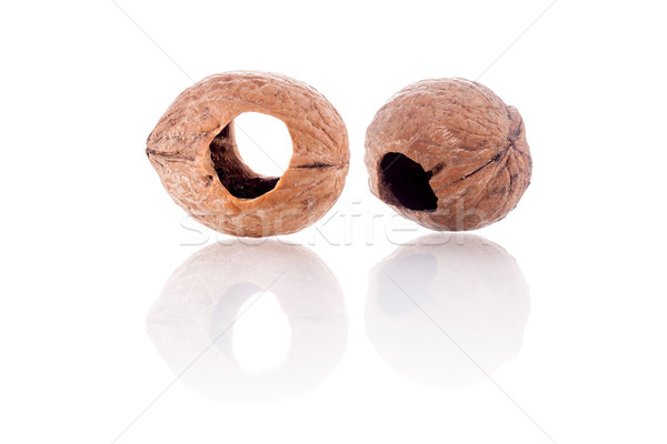walnuts shell with holes Stock photo © kokimk