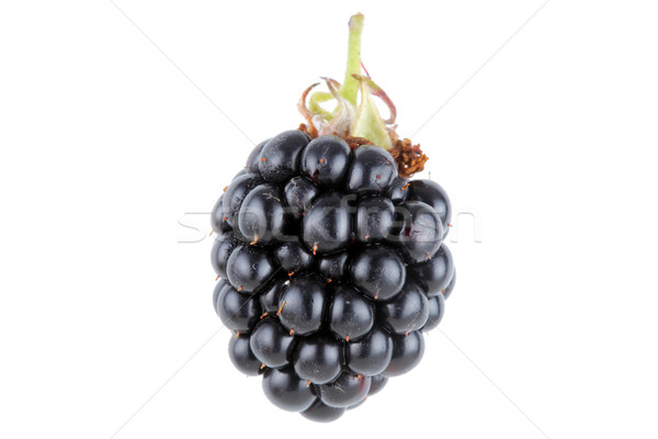 blackberry Stock photo © kokimk