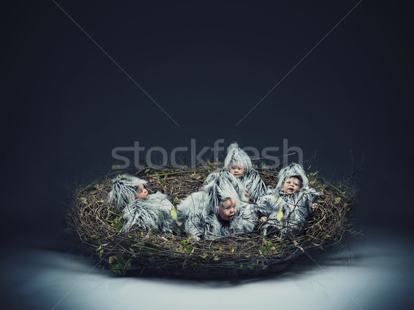 Conceptual photo of a nestling child Stock photo © konradbak
