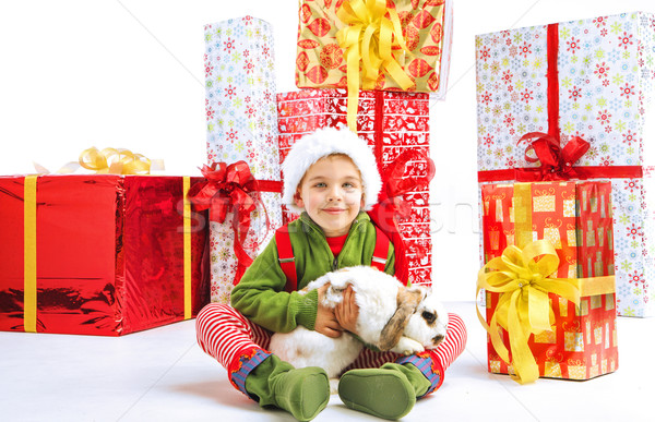 Cute little elf holding a rabbit Stock photo © konradbak