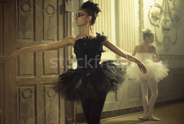 Picture presenting two swans Stock photo © konradbak