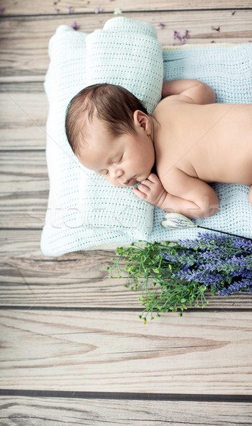 Aranyos kicsi gyermek alszik pléd kék Stock fotó © konradbak