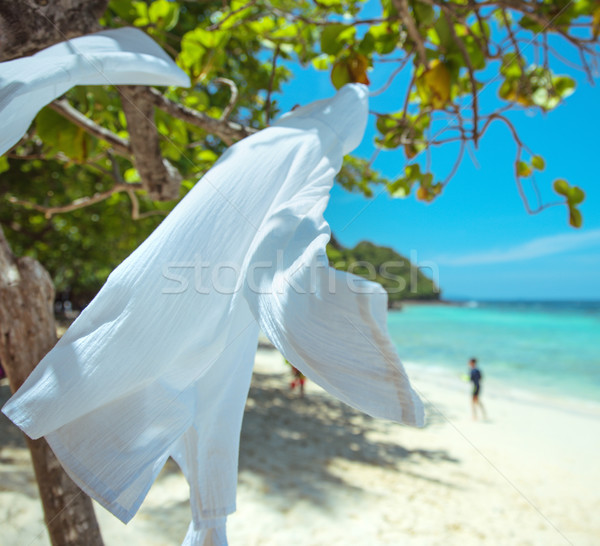 Exotic plants - asian, summer rainforest Stock photo © konradbak