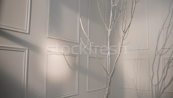 Thin bright tree in the white area Stock photo © konradbak