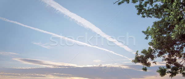 Image presenting a early sunset landscape Stock photo © konradbak
