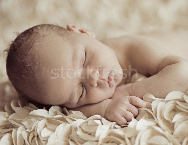 Drăguţ dormit nou-nascut copil petale frumos Imagine de stoc © konradbak