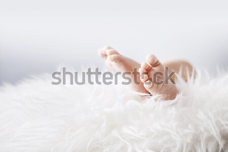 Little feet of a newborn child Stock photo © konradbak