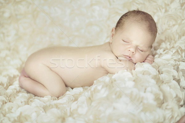 Portré újszülött baba alszik szirmok fehér Stock fotó © konradbak