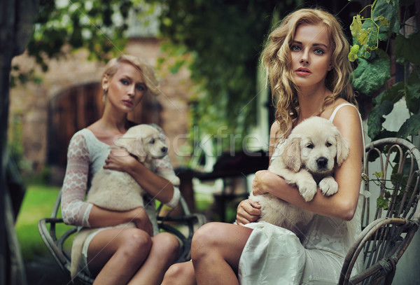 Two cute blondie hugging puppies Stock photo © konradbak