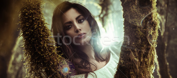 Portrait of a beautiful lady posing among trees Stock photo © konradbak