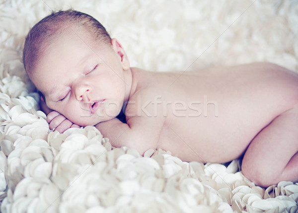 [[stock_photo]]: Cute · bébé · dormir · soft · pétales · blanche