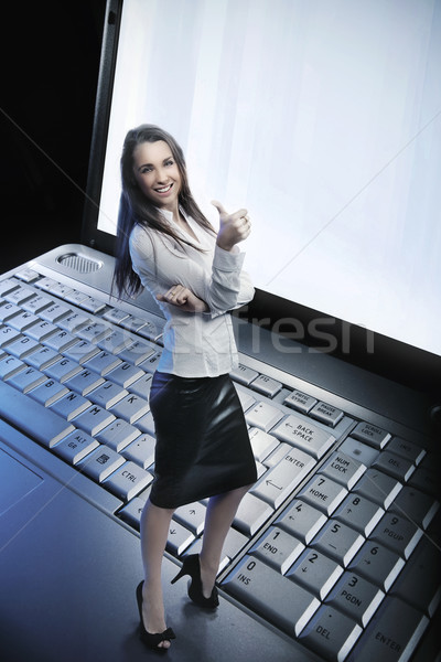 Сток-фото: красоту · деловая · женщина · ноутбука · компьютер · интернет · счастливым