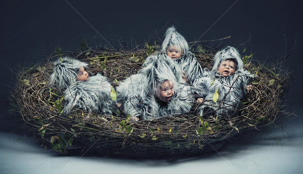 Conceptual photo of a nestling child Stock photo © konradbak