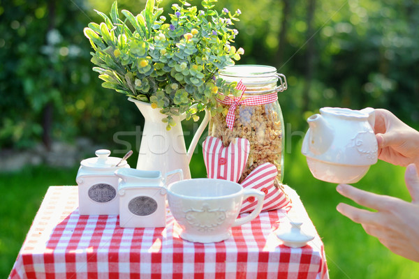 Stock photo: Cup of tasty tea served in the garden