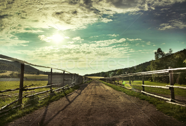 Beautiful view of the sunset in a field on a rural road Stock photo © konradbak