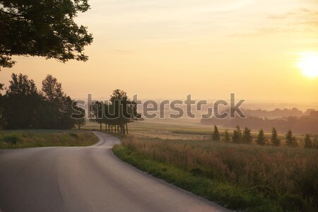 Sunrise in a rular area Stock photo © konradbak