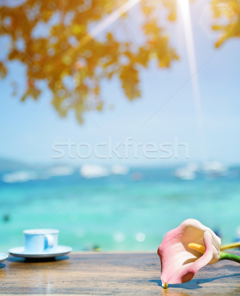 Beautiful view of a summer bay in a tropical area Stock photo © konradbak