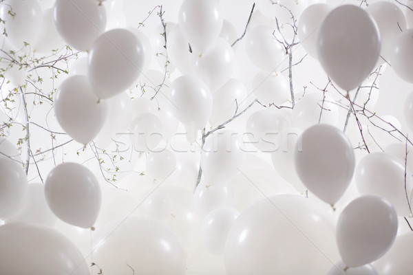 Picture presenting a ballon background Stock photo © konradbak