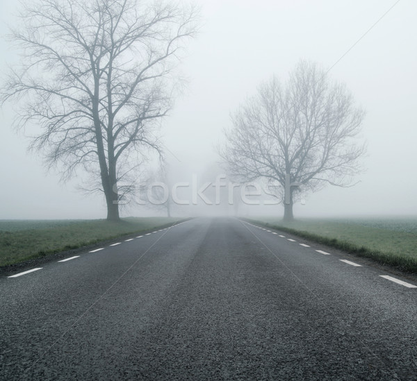 Vide route matin automne jour noir [[stock_photo]] © konradbak