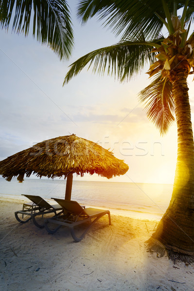 Summer tropical Beach; Peaceful vacation background Stock photo © Konstanttin