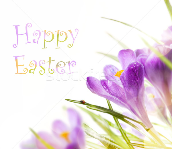 art easter background with spring flowers Stock photo © Konstanttin