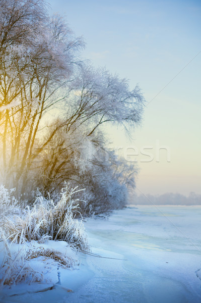 Gyönyörű tél tájkép dér fagy Stock fotó © Konstanttin