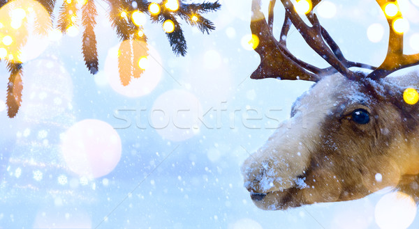 art Christmas holidays background with  Santa Claus deer and Chr Stock photo © Konstanttin