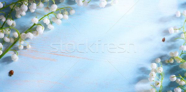 art Lily valley spring flower on blue background Stock photo © Konstanttin