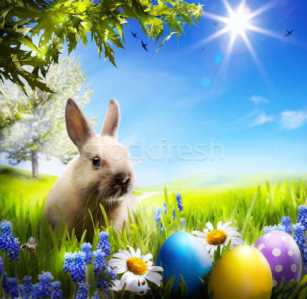 Stock foto: Kunst · wenig · Osterhase · Ostereier · grünen · Gras · Frühling