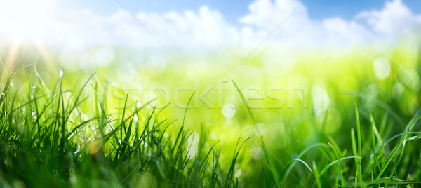 Foto stock: Arte · abstrato · primavera · verão · fresco · grama