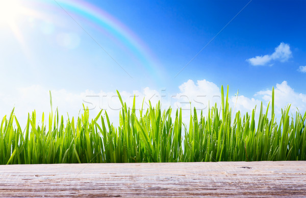 Sztuki streszczenie charakter wiosną lata zielona trawa Zdjęcia stock © Konstanttin